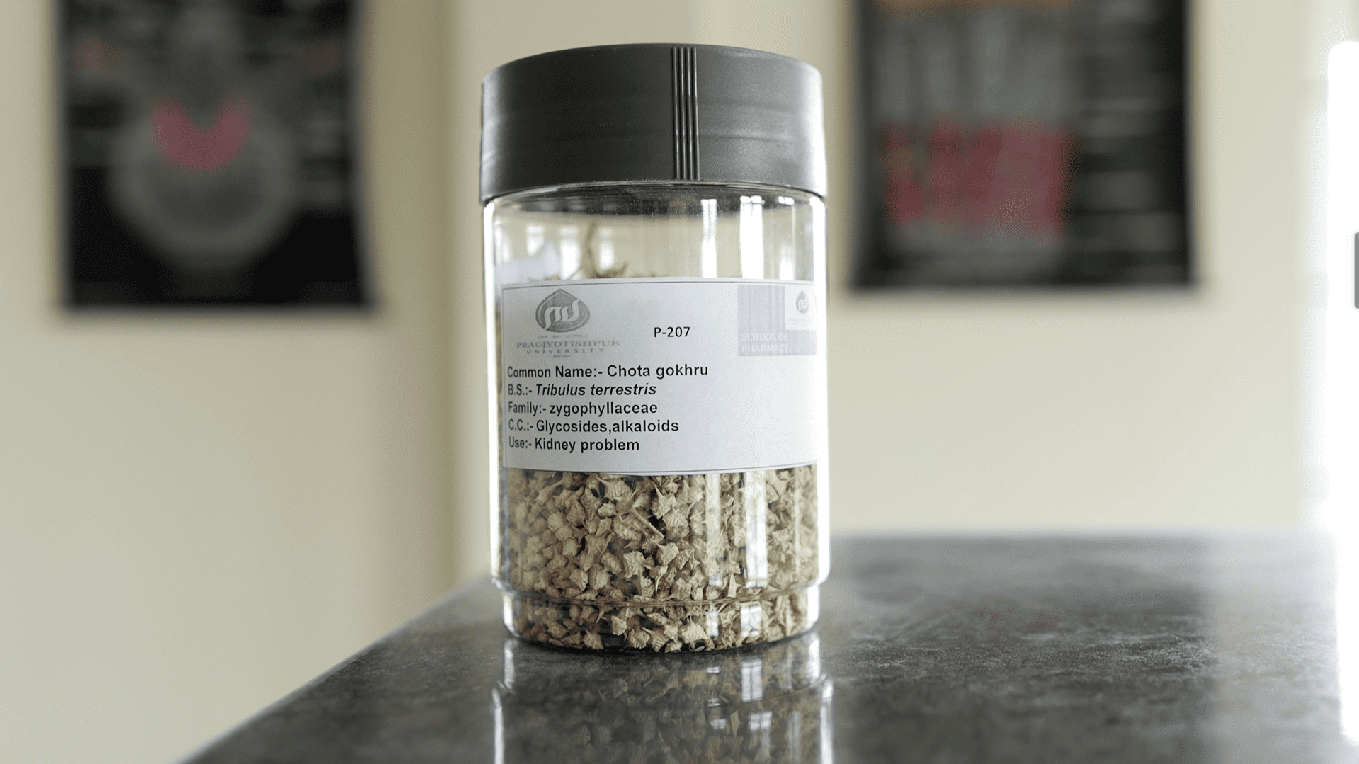 Pragjyotishpur University Guwahati Pharmaceutical chemistry lab photo 13